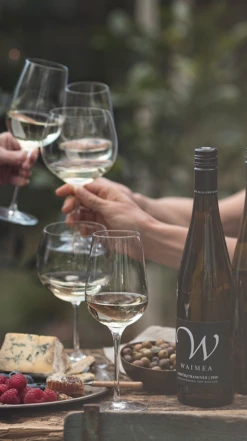 Waimea Estates Grüner Veltliner 2021/22, Nelson -Liquor Sale Store 0030245 0