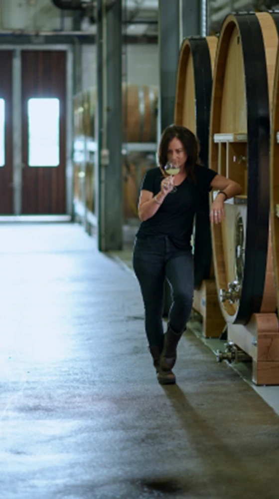 Vasse Felix ′Filius′ Cabernet-Merlot, Margaret River 2019/20 4 Vasse Felix ′Filius′ Cabernet-Merlot, Margaret River 2019/20 - Image 2