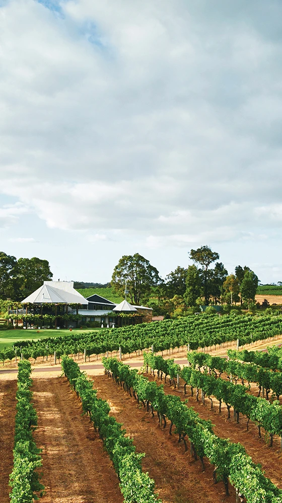 Vasse Felix ′Filius′ Cabernet-Merlot, Margaret River 2019/20 5 Vasse Felix ′Filius′ Cabernet-Merlot, Margaret River 2019/20 - Image 3