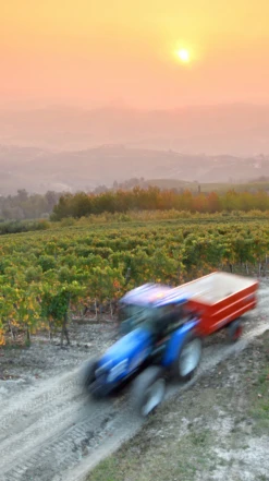 G. D. Vajra ‘Albe’ Barolo DOCG 2017/18 -Liquor Sale Store 0030297 0