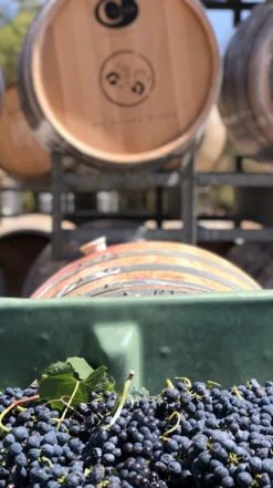 Two Hands ′Samantha′s Garden′ Shiraz 2018, Clare Valley -Liquor Sale Store 0030306 0