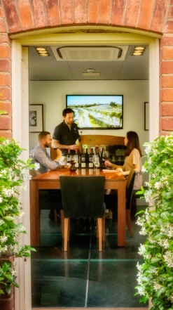 Two Hands ′Angels′ Share′ Shiraz 2021/22, McLaren Vale -Liquor Sale Store 0030308 0