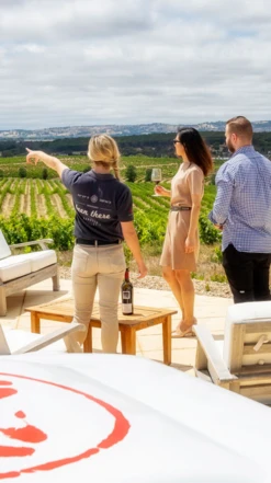 Two Hands ′Sexy Beast′ Cabernet Sauvignon 2021/22, McLaren Vale -Liquor Sale Store 0030310 0