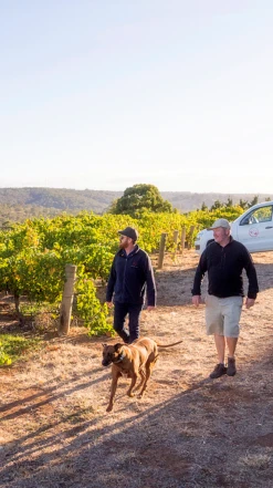 Two Hands ′Tenacity′ Old Vine Shiraz 2021/22, Australia -Liquor Sale Store 0030317 0