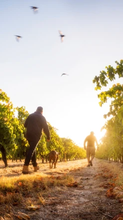 Two Hands ′Lily′s Garden′ Shiraz 2018/19, McLaren Vale -Liquor Sale Store 0030320 0