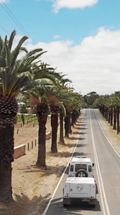 Two Hands ′Bella′s Garden′ Shiraz 2017/18, Barossa Valley -Liquor Sale Store 0030324 0