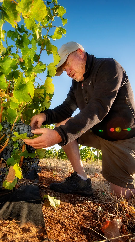 Two Hands ′Gnarly Dudes′ Shiraz 2021/22, Barossa Valley 4 Two Hands ′Gnarly Dudes′ Shiraz 2021/22, Barossa Valley - Image 2