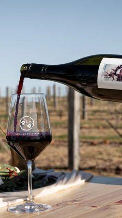 Two Hands ′Gnarly Dudes′ Shiraz 2021/22, Barossa Valley 9 Two Hands ′Gnarly Dudes′ Shiraz 2021/22, Barossa Valley -Liquor Sale Store 0030328 0