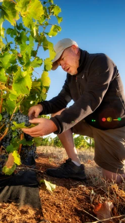 Two Hands ′Holy Grail′ Shiraz 2018, Barossa 7 Two Hands ′Holy Grail′ Shiraz 2018, Barossa -Liquor Sale Store 0030332 0