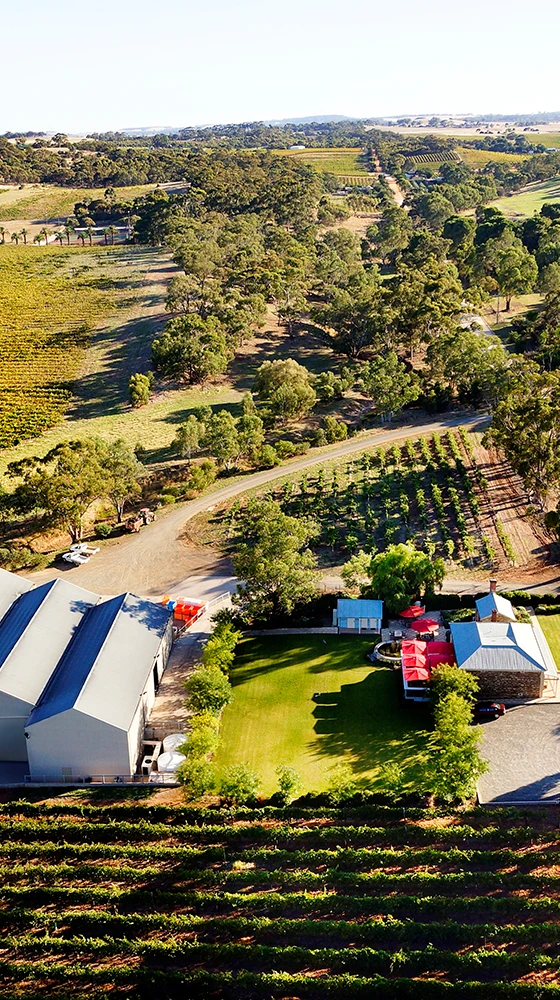 Two Hands ′Holy Grail′ Shiraz 2018, Barossa 5 Two Hands ′Holy Grail′ Shiraz 2018, Barossa - Image 3