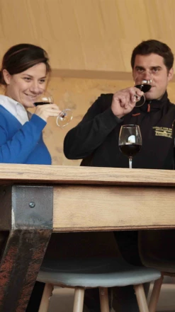 Château Tour Bayard 2019/20, Montagne-Saint-Émilion -Liquor Sale Store 0030337 0