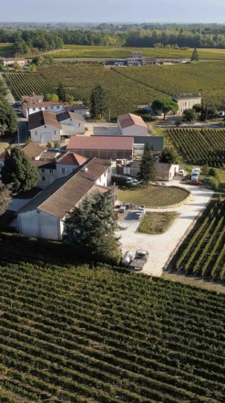 Château Tour Bayard 2019/20, Montagne-Saint-Émilion -Liquor Sale Store 0030339 0