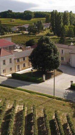 Château Tour Bayard 2019/20, Montagne-Saint-Émilion -Liquor Sale Store 0030340 0