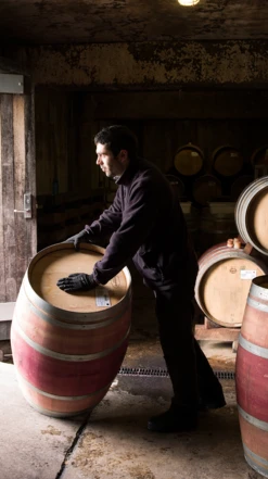 Te Mata Estate Syrah 2020/21, Hawke′s Bay -Liquor Sale Store 0030384 0