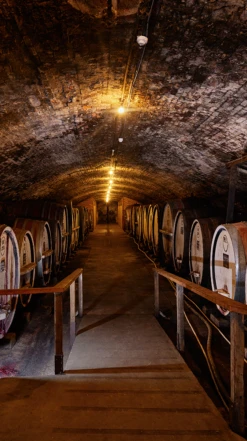 Tahbilk ′The Tower′ Marsanne 2019/22, Victoria -Liquor Sale Store 0030419 0