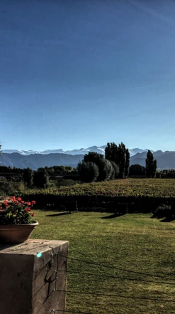 Matias Riccitelli ′Hey Malbec!′ 2021/22, Mendoza -Liquor Sale Store 0030512 0