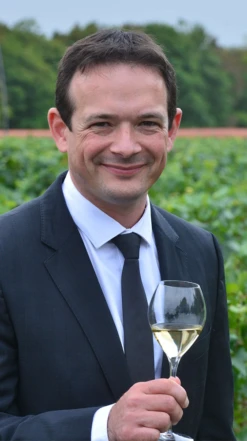 Pommery ′Brut Royal′ Champagne -Liquor Sale Store 0030573 0