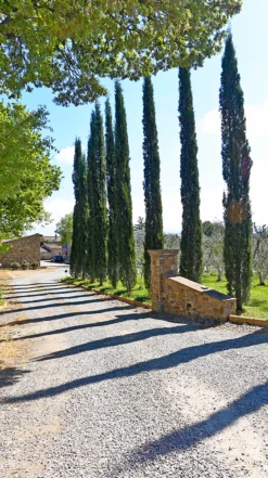 Agostina Pieri Brunello Di Montalcino DOCG 2017/18 -Liquor Sale Store 0030633 0