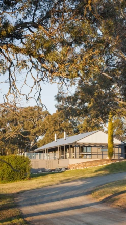 Petaluma ′B&V Vineyard′ Shiraz 2018, Adelaide Hills -Liquor Sale Store 0030636 0