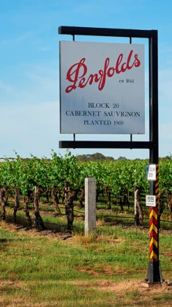 Penfolds ′Max′s′ Shiraz-Cabernet Sauvignon 2018/19, Australia 9 Penfolds ′Max′s′ Shiraz-Cabernet Sauvignon 2018/19, Australia -Liquor Sale Store 0030653 0