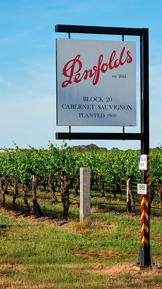 Penfolds ′Max′s′ Shiraz-Cabernet Sauvignon 2018/19, Australia 6 Penfolds ′Max′s′ Shiraz-Cabernet Sauvignon 2018/19, Australia - Image 4