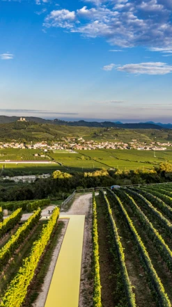 Pasqua ′PassioneSentimento′ Passimento Bianco 2020/21, Veneto 8 Pasqua ′PassioneSentimento′ Passimento Bianco 2020/21, Veneto -Liquor Sale Store 0032195 0