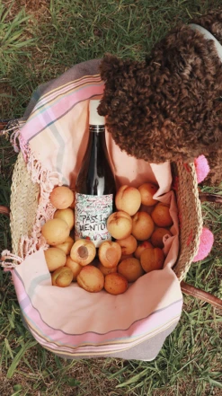 Pasqua ′PassioneSentimento′ Passimento Bianco 2020/21, Veneto 9 Pasqua ′PassioneSentimento′ Passimento Bianco 2020/21, Veneto -Liquor Sale Store 0032196 0