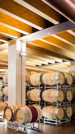 Pasqua ′11 Minutes′ Rosé 2021/22, Veneto -Liquor Sale Store 0032198 0